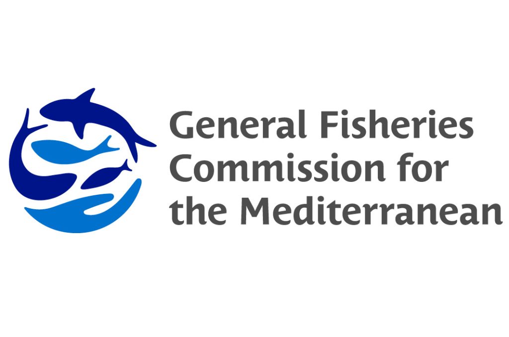 gfcm